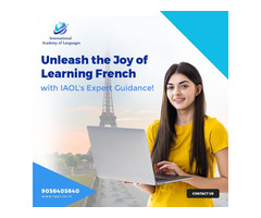 IAOL's French Language Mastery Program