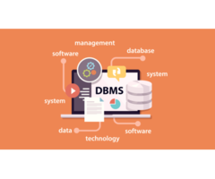 Ultimate University Database Management System – GeniusEdu