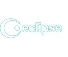 Cyber forensic expert - Eclipse Forensics