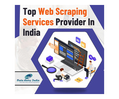 Top Web Scraping Services Provider in India