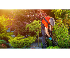 LawnMark Landscaping & Tree Service | Landscaper in Gates Mills OH