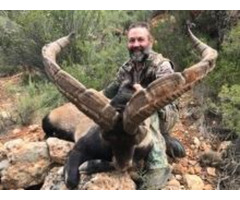 Navigating Whitetail Deer & Black Bear Hunting