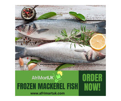 Buy Fresh Frozen Mackerel Fish in London,UK