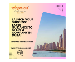 Launch Your Success: Expert Guidance to Start a Company in Dubai