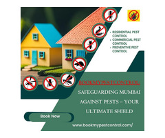 Safeguarding Mumbai Against Pests – Your Ultimate Shield