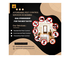 Pest Control Services in Mumbai | Dial 9768000809 for the Best Rates