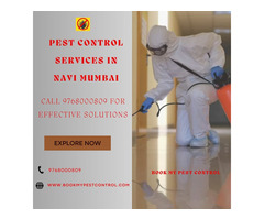 Pest Control Services in Navi Mumbai - Call for Effective Solutions