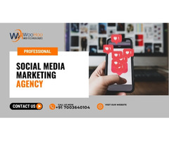 Professional Social Media Marketing Agency