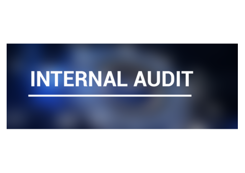 Enhancing Internal Audits for Excellence in NDIS Services