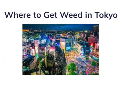 Where to Get Weed in Tokyo