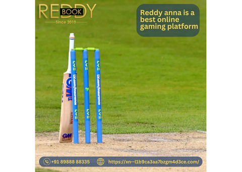Reddy Anna Online Betting ID for All Sport Events & Casino Games