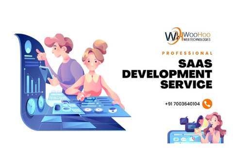 Professional SAAS Development Service