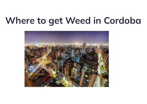 Where to Get Weed in Cordoba