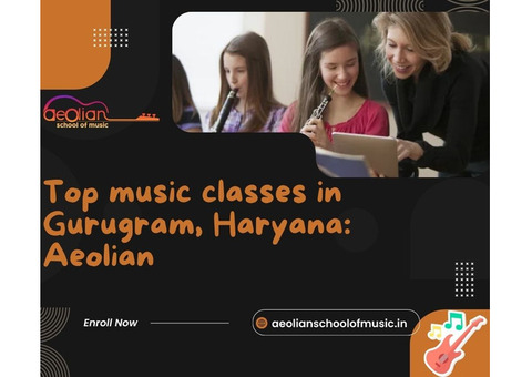 Top music classes in Gurugram, Haryana: Aeolian