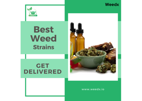 The Best Weed Strains Available for Delivery in Washington DC