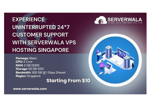 Experience 24*7 Customer Support with Serverwala VPS Hosting Singapore