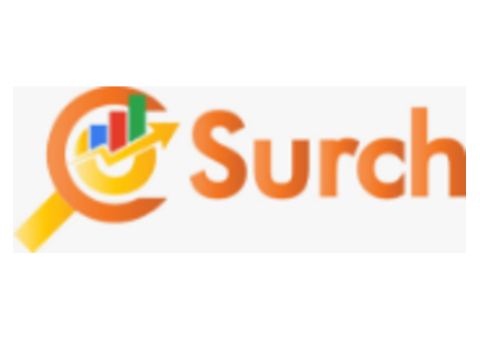 Enhance Your Business DigitalConsultancy Services in Singapore | Surch