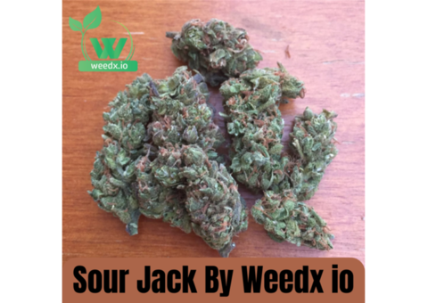 Unraveling the Essence of Sour Jack: A Strain Like No Other