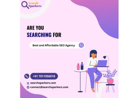 #1 SEO Company in Rohtak | Search Sparkers | SEO Agency