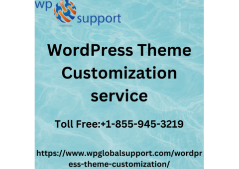 Choose the best WordPress theme customization service