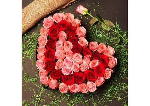 Last Moment Send Valentine’s Day Gifts to India with Best Discount