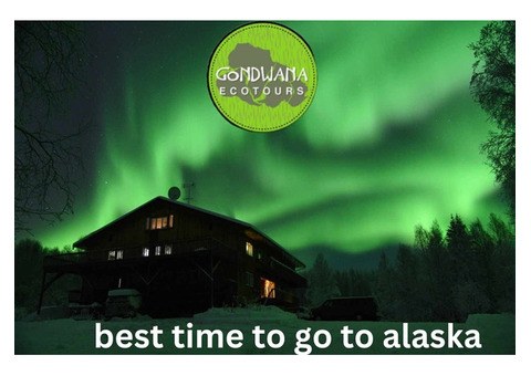 Best Time to Go to Alaska with Gondwana Ecotours