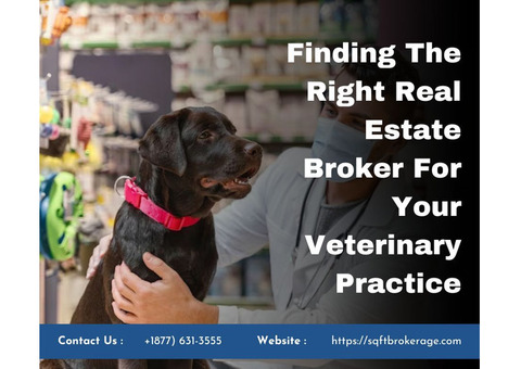 Finding The Right Real Estate Broker For Your Veterinary Practice