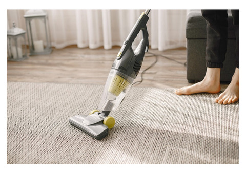Refresh Your Space: Professional Carpet Cleaning Services