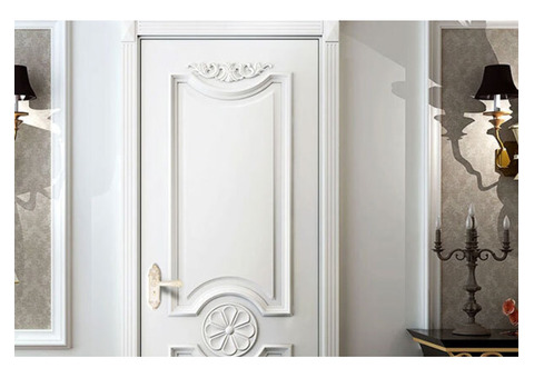 Looking for a durable Moulded door!!