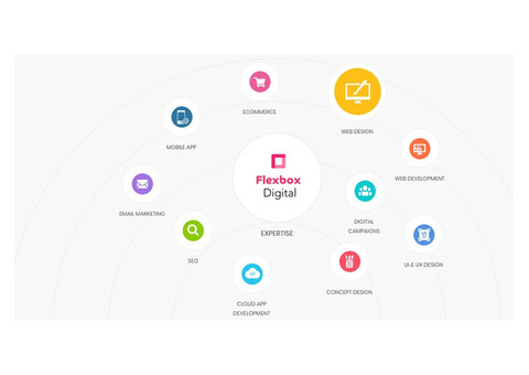 Small Business Web Design & Development | Flexbox Digital