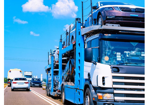 Safeeds Transport Inc | Car Shipping Solutions in USA