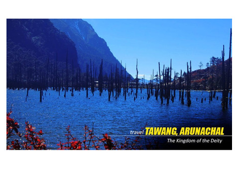 Wonderful Tawang Dirang Shergaon tour package - Best holiday Deal