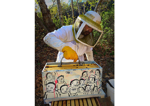 Expert Bee Removal Services: Los Angeles Specialists