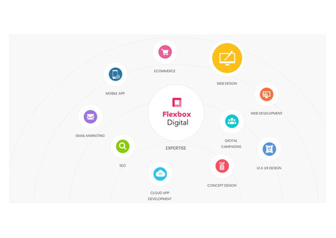 Need Website & Mobile App Development Solution | Flexbox Digital