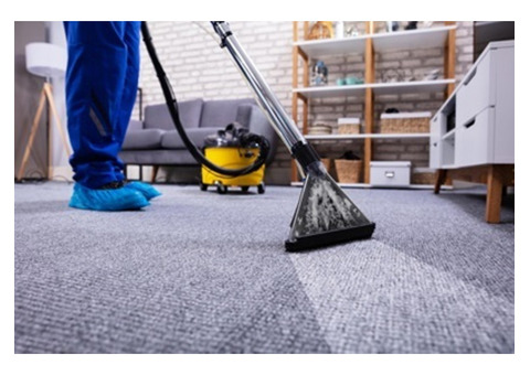Carpet Care Experts: Piscataway Cleaning Services