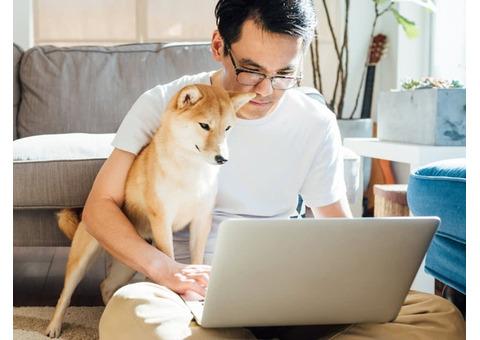 Choose The Best Online Dog Training Courses