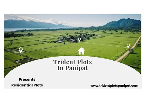 Trident Plots In Panipat |  Your Dream Home