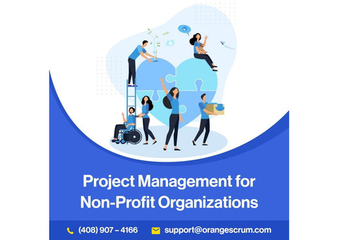 Harness the Power of Project Management Software for Your NGO!