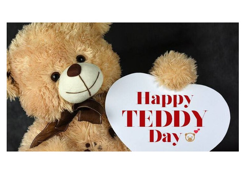 Teddy Day | Importance of 10th February