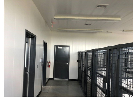 PVC Panels Can Be A Great Paneling Option for Dog Kennels