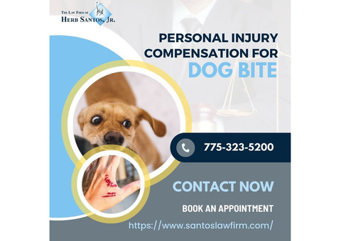 Personal Injury Compensation For Dog Bite