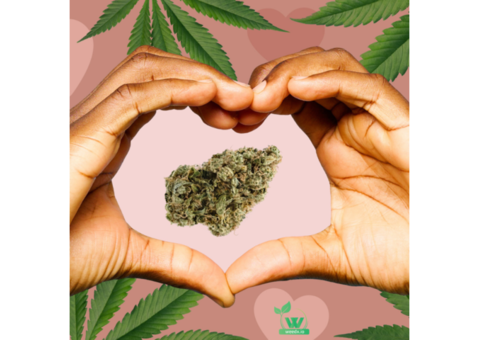 High-Speed Weed Delivery NYC: Your Go-To Solution for Quality Cannabis