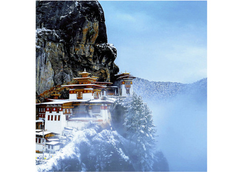 Amazing Bhutan Package Tour from Ahmedabad with NatureWings in 2024