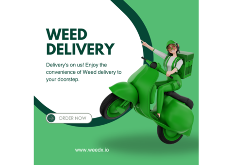The Rise of Weed Delivery in San Francisco