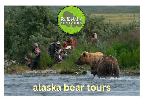 Immerse Yourself in Nature: Alaska Bear Tours with Gondwana Ecotours