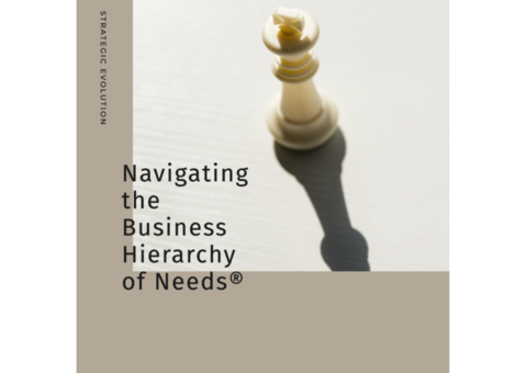 Strategic Evolution: Navigating the Business Hierarchy of Needs®