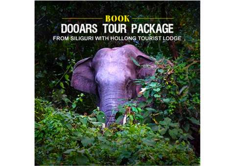 Book Dooars Tour Package with Hollong Tourist Lodge