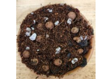 Excellent Aroid Mix for Tropical Plant Growth