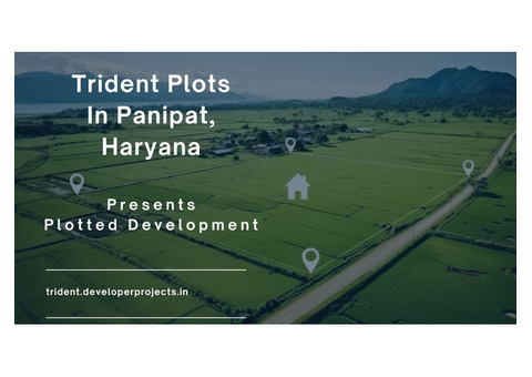 Trident Plots In Panipat |  Exceptional Living