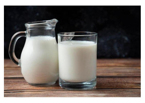 Buy Organic Gir Cow Milk in Rajkot - Fresh & Nutritious